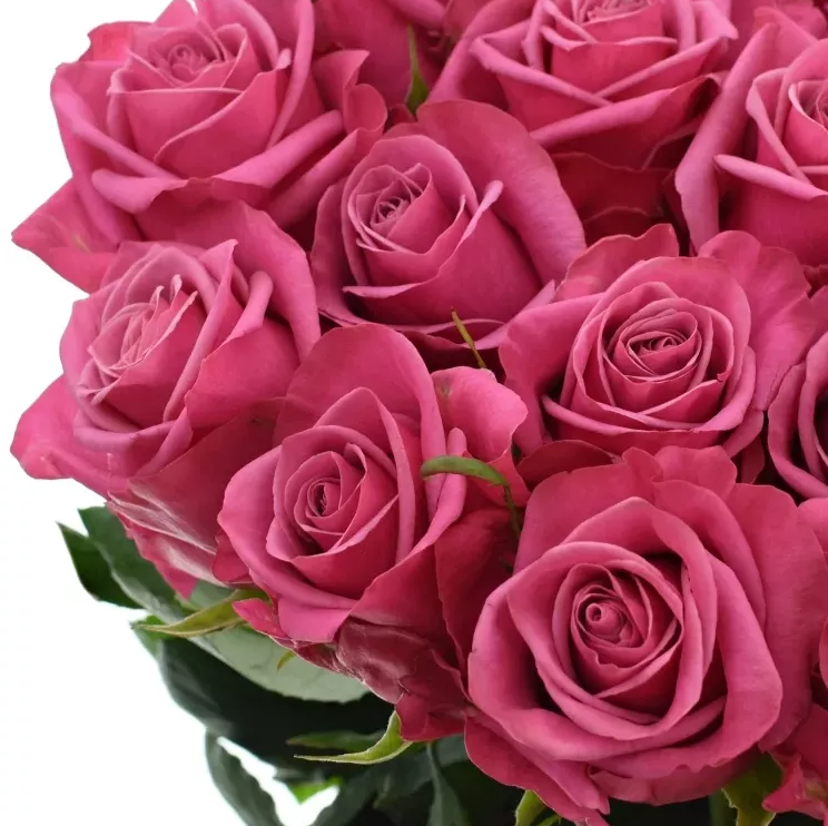 Klasikinė rožių puokštė