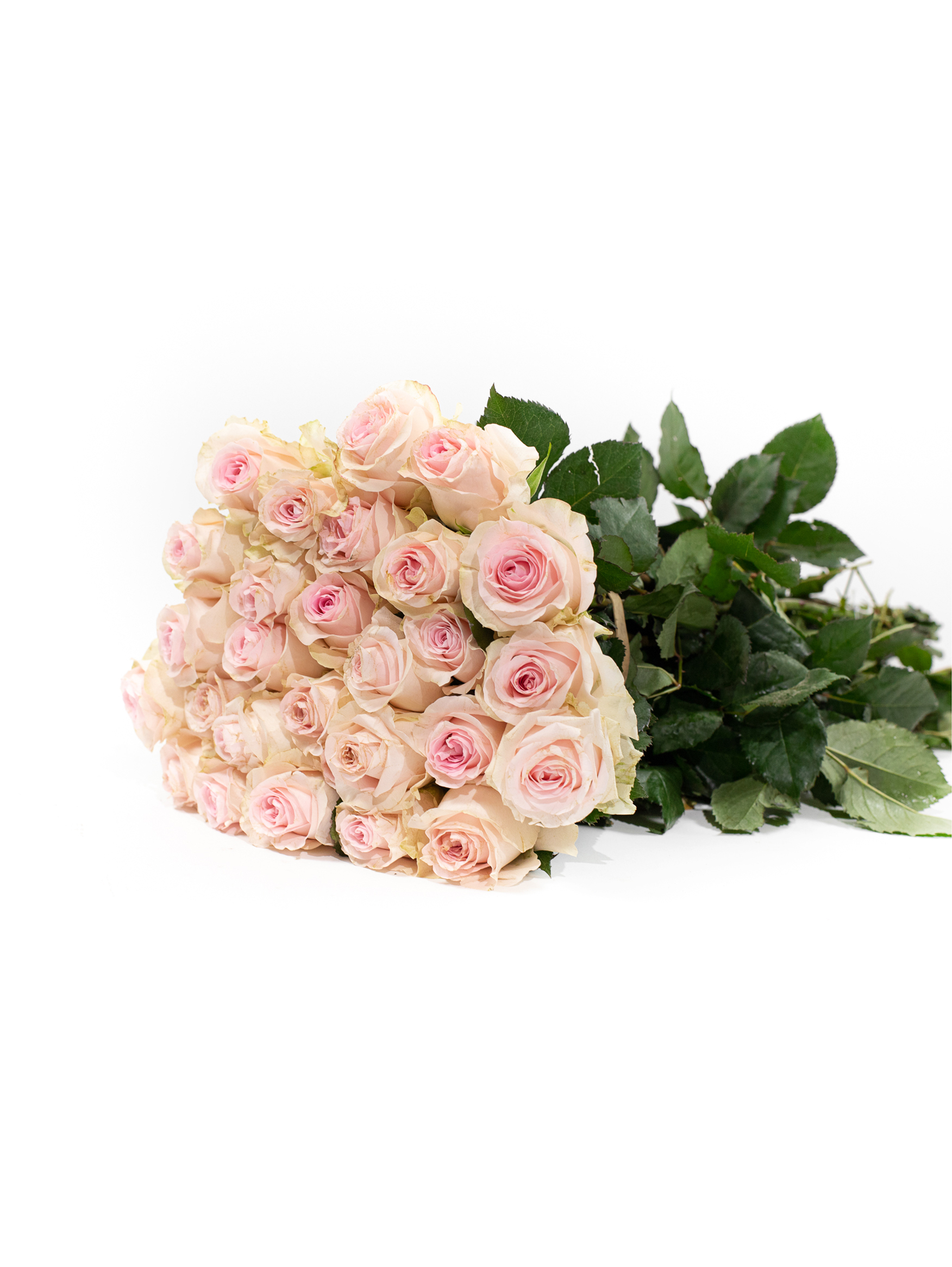 Klasikinė rožių puokštė