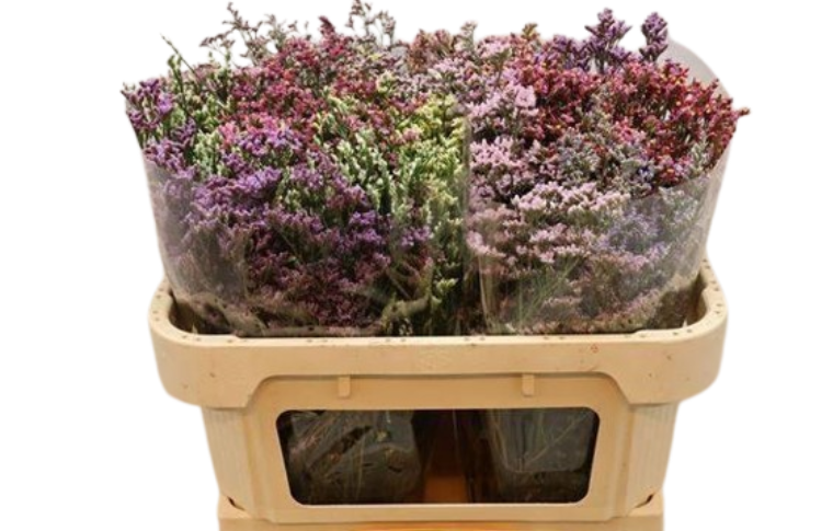 Klasikinė rožių puokštė